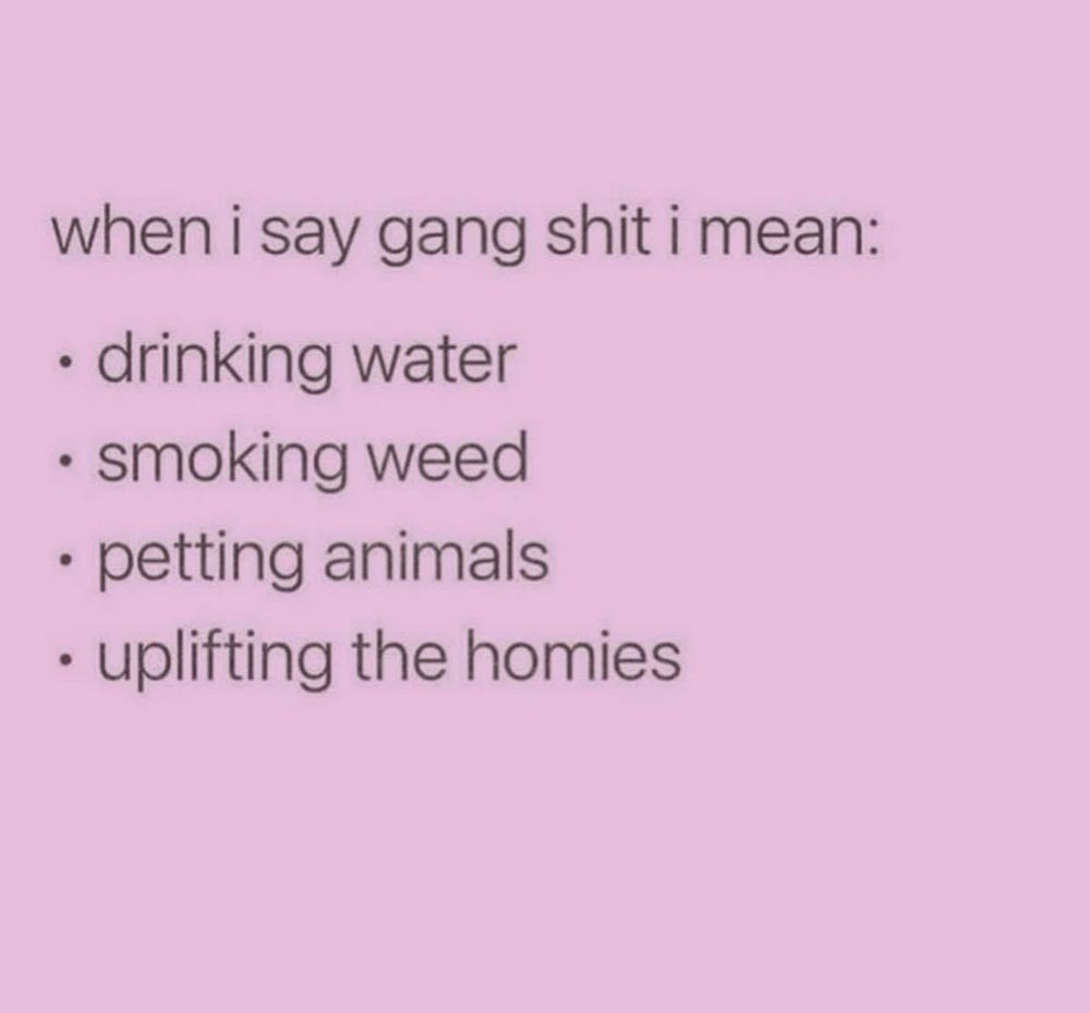 A weed meme reading “when I say gang shit I mean: drinking water, smoking weed, petting animals, uplifting the homies” 