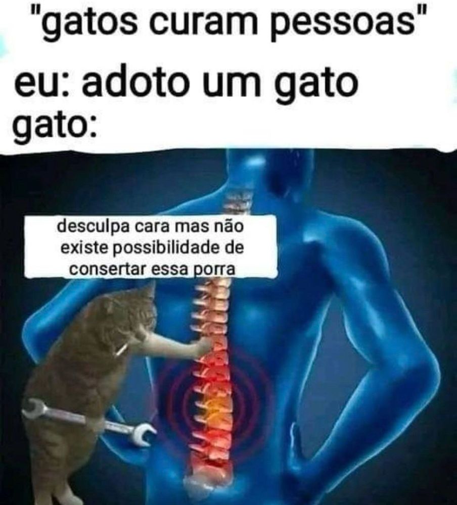 no alto da imagem há escrito: "gatos curam pessoas"
eu: adoto um gato
gato:"
logo abaixo há a montagem de um gato segurando uma chave de fenda, encostado na coluna vertebral de um ser humano.
acima da cabeça do gato, há um balão de fala escrito: "desculpa cara mas não existe a possibilidade de consertar essa porra"