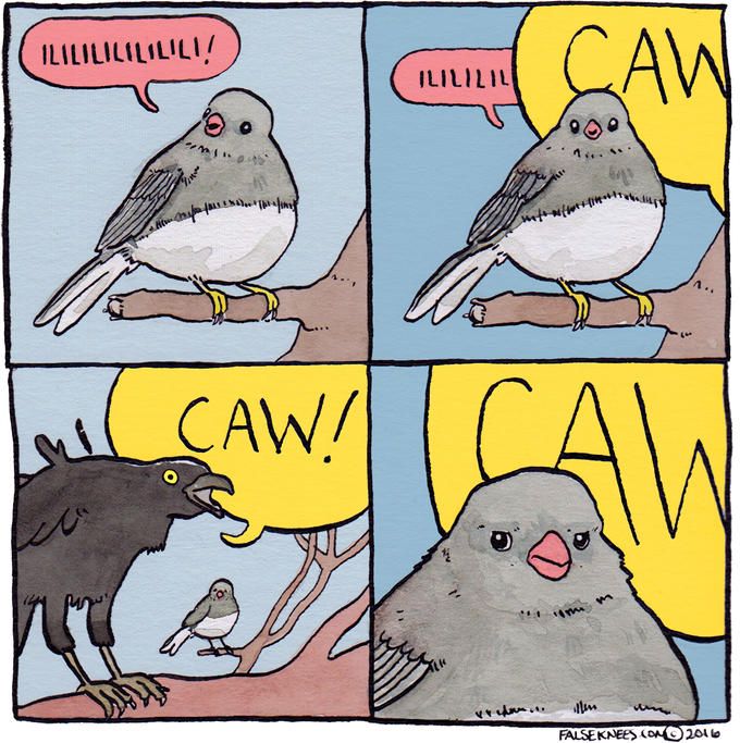 A four panel comic by artist False Knees featuring a small gray songbird being interrupted by a much louder crow. 