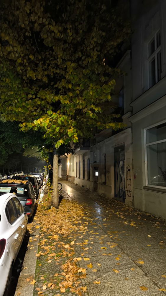 Bürgersteig mit herblichem Baum.

Rechts Häuserwand.

Links parkende Autos. 

Berliner Innenstadt. 
