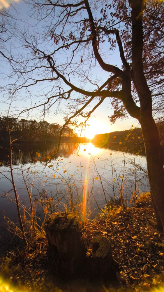 Sonne scheint über See mit regenbogenfarbenem Strahl in meine Richtung.

Im Vordergrund herbstliches Ufer mit Baum. 