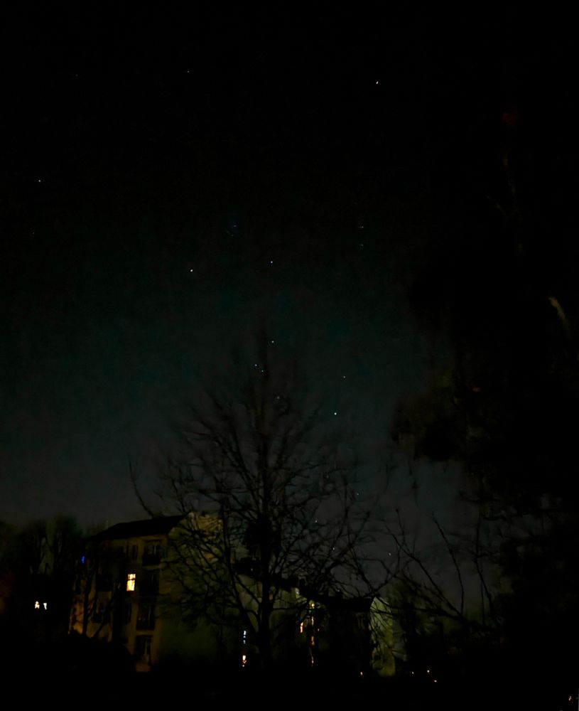 Nachtaufnahme

Kahle Bäume vor Häusern mit wenigen beleuchteten Fenstern und Himmel mit Sternen. 