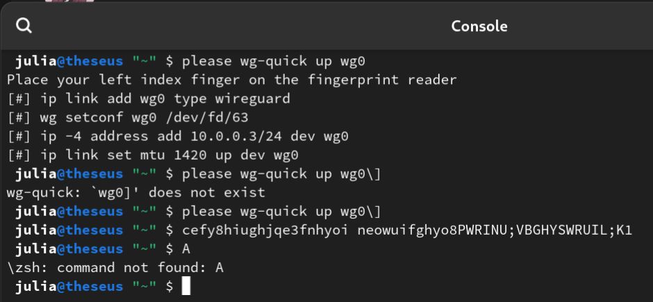 please wg-quick up wg0 in a terminal followed by serveral lines of bottom text