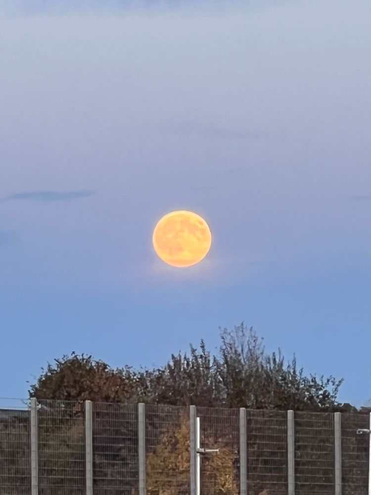 Viel zu heftig rangezoomter Mond. Er ist halt sehr groß.