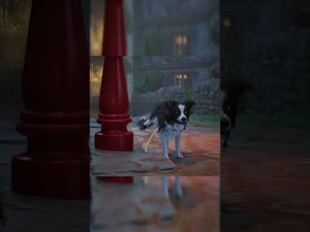 Stray, BUT FOR DOGS! - Hounded