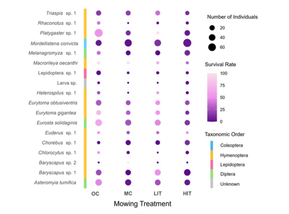 Heatmap showing how different stem-dwelling insect species respond to increasing levels of mowing intensity. Species names are colour-coded by order. Circles of varying size based on sample size vary in colour for each species across the different mowing treatments. Darker purples denote lower survival rates while pinks denote higher survival rates. The heatmap shows that many species respond differently to the different mowing treatments with some species exhibiting higher survival rates at some mowing intensities compared to other species and vice versa.