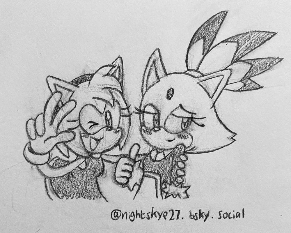 Amy Rose and Blaze posing together like a cute couple. Amy’s pose is very energetic. Blaze’s pose is more reserved and shy.