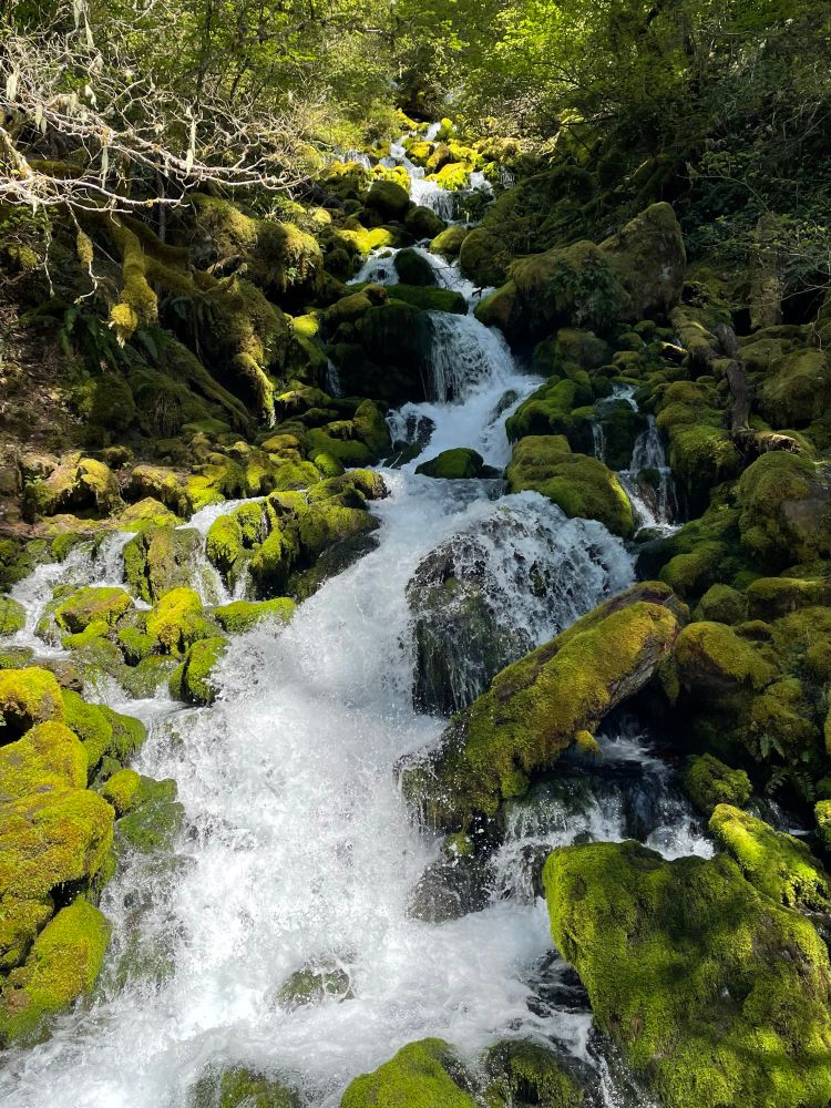 A small cascade along the hiking path at Falls Creek Trail #152A in Washington State.