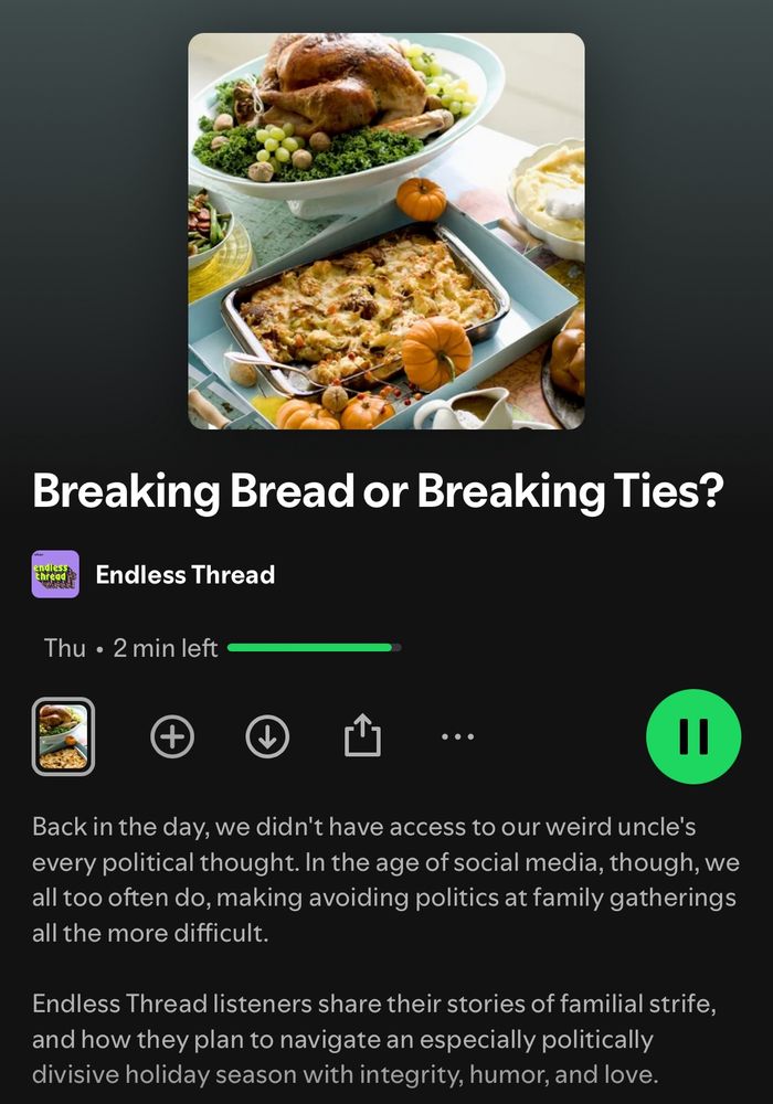 Screenshot showing the summary of a podcast episode about fighting with family over politics