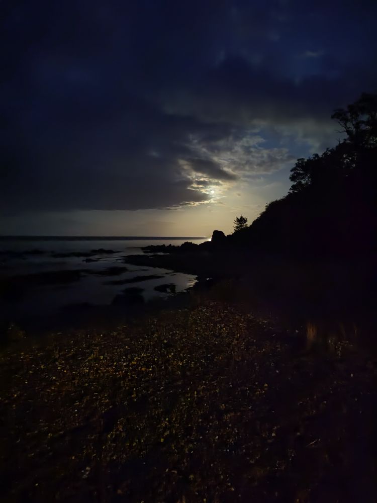 The moon, slightly obscured by clouds, above a beach, curving around the bay with trees on the hillside silhouetted.
