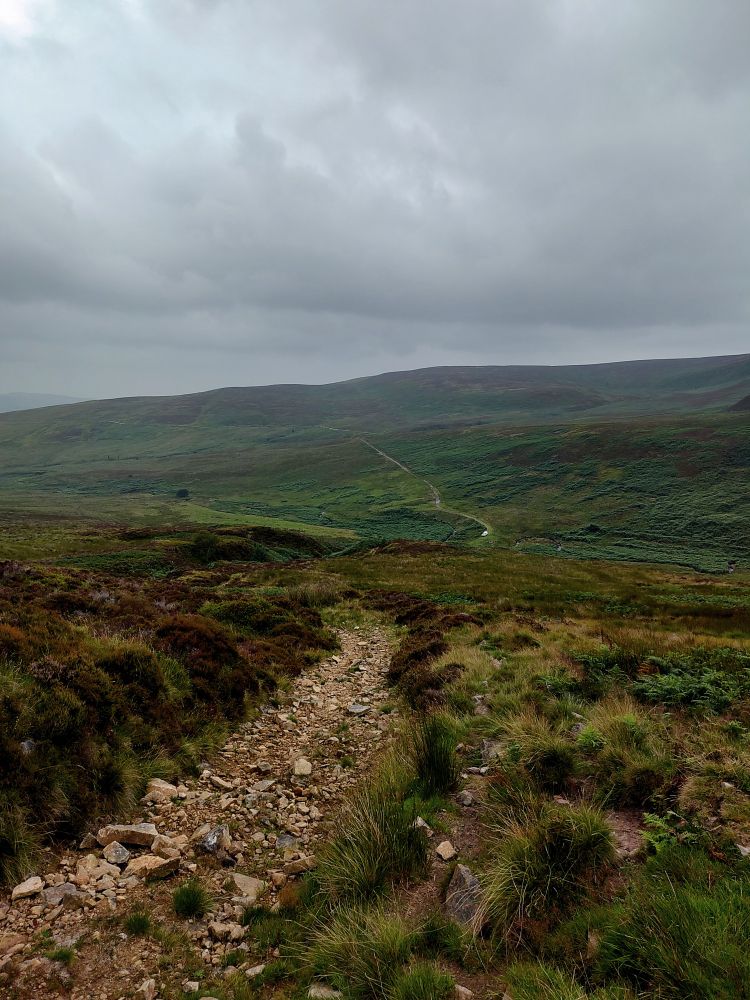 A long, rocky track leads down the side of the fell. Heather moorland, with patches of bracken. A white dot is where we left the pickup truck, just short of a ford across a stream. Beyond the hills, the sky is bleak.