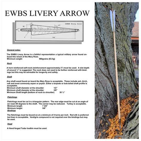 The standard for the EWBS Livery Arrow.