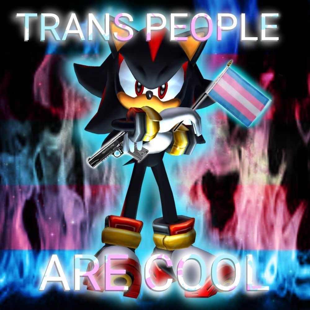 trans people are cool with shadow the hedgehog and trans flag colored flames in the background its epic