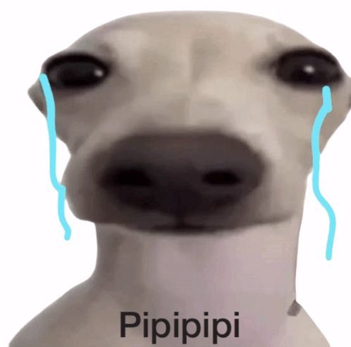 pipipi