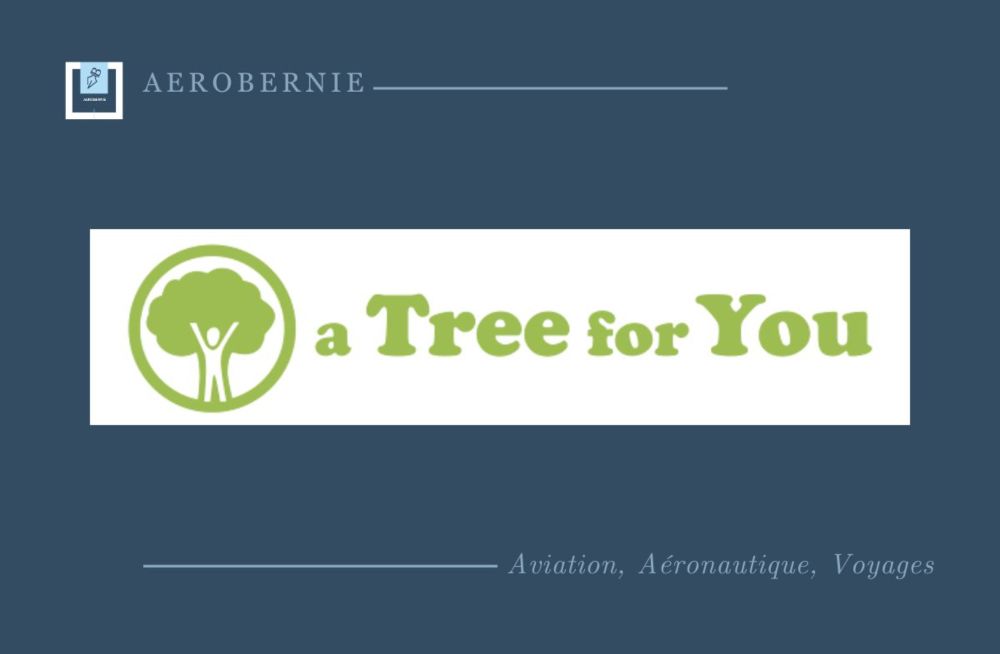 A Tree for You et FairMoove : expérience de voyage engagée | Aerobernie