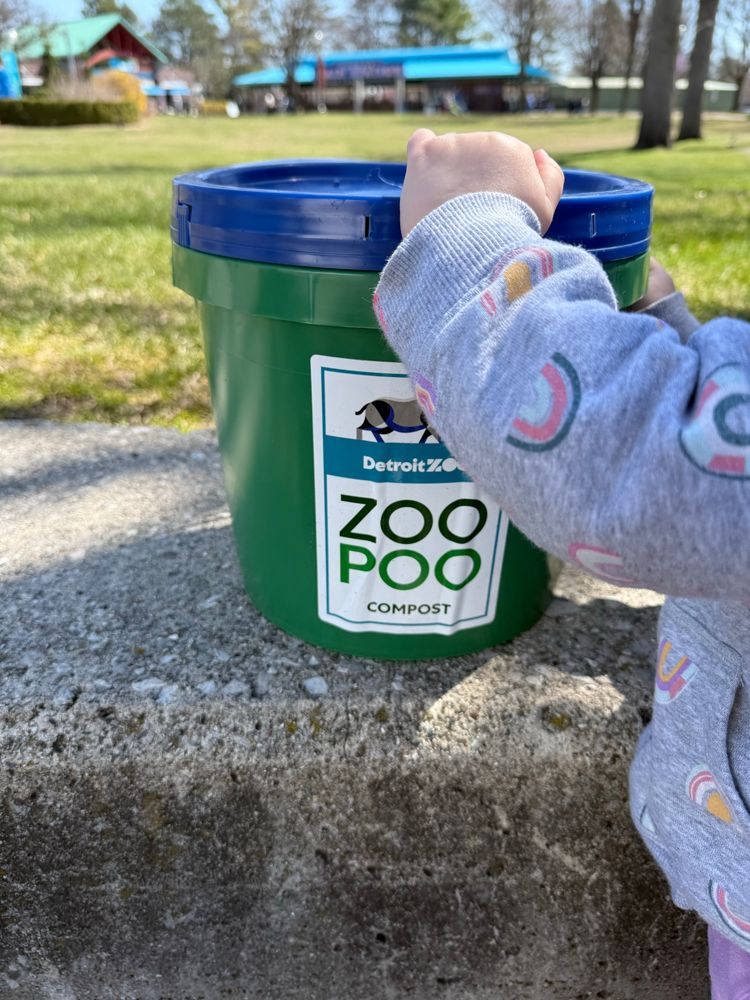 A green bucket with a blue lid labeled: Detroit Zoo, Zoo Poo, Compost. A child’s arm is grabbing the bucket 