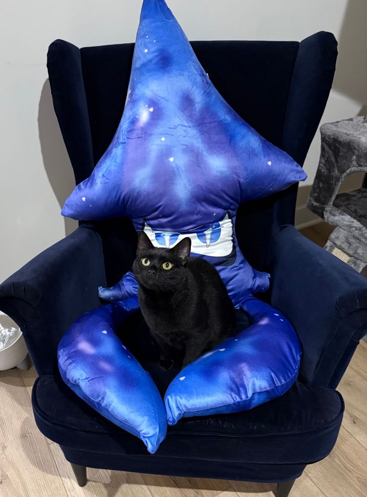 ID: a black cat sitting on a blue sofa chair. A giant blue squid plush is propped up on the chair behind her, and the tentacles surround her. End ID. 