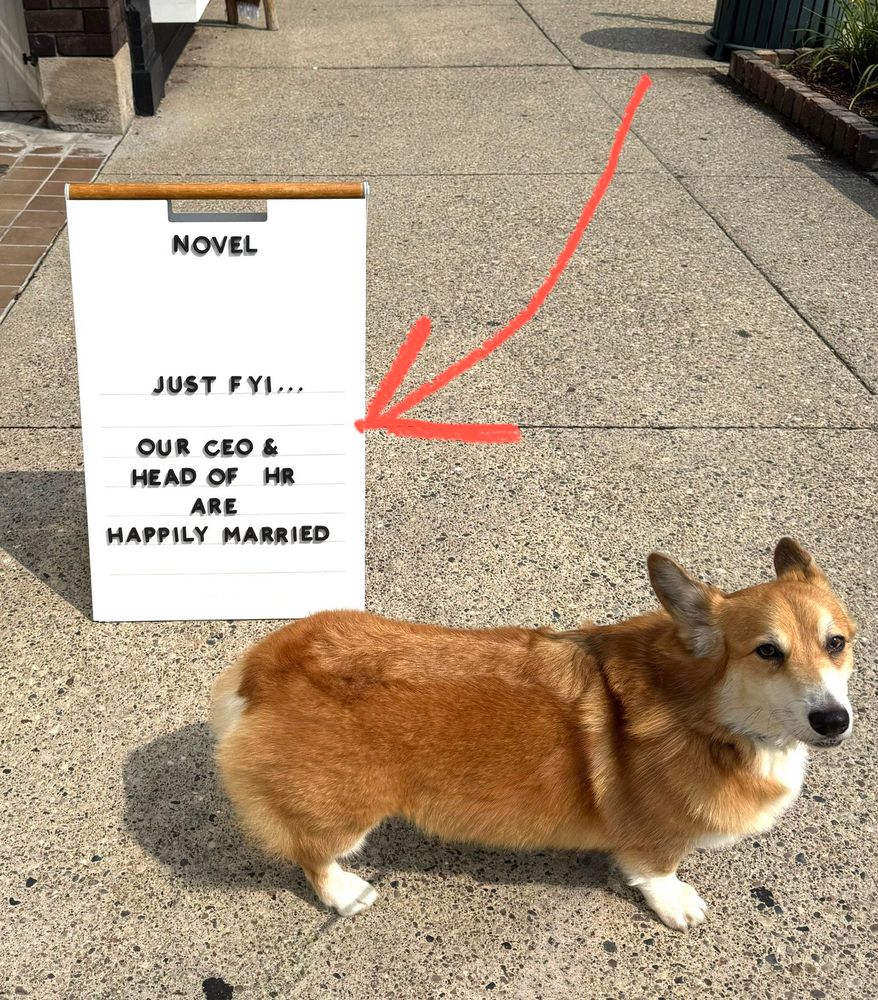 A corgi next to a sign outside a bookstore that reads just FYI our CEO and head of HR are happily married. 