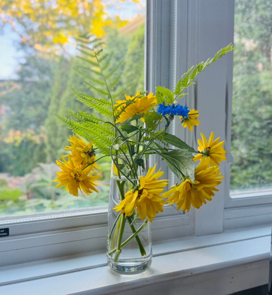 Yellow flowers in a vase on a kitchen windowsill