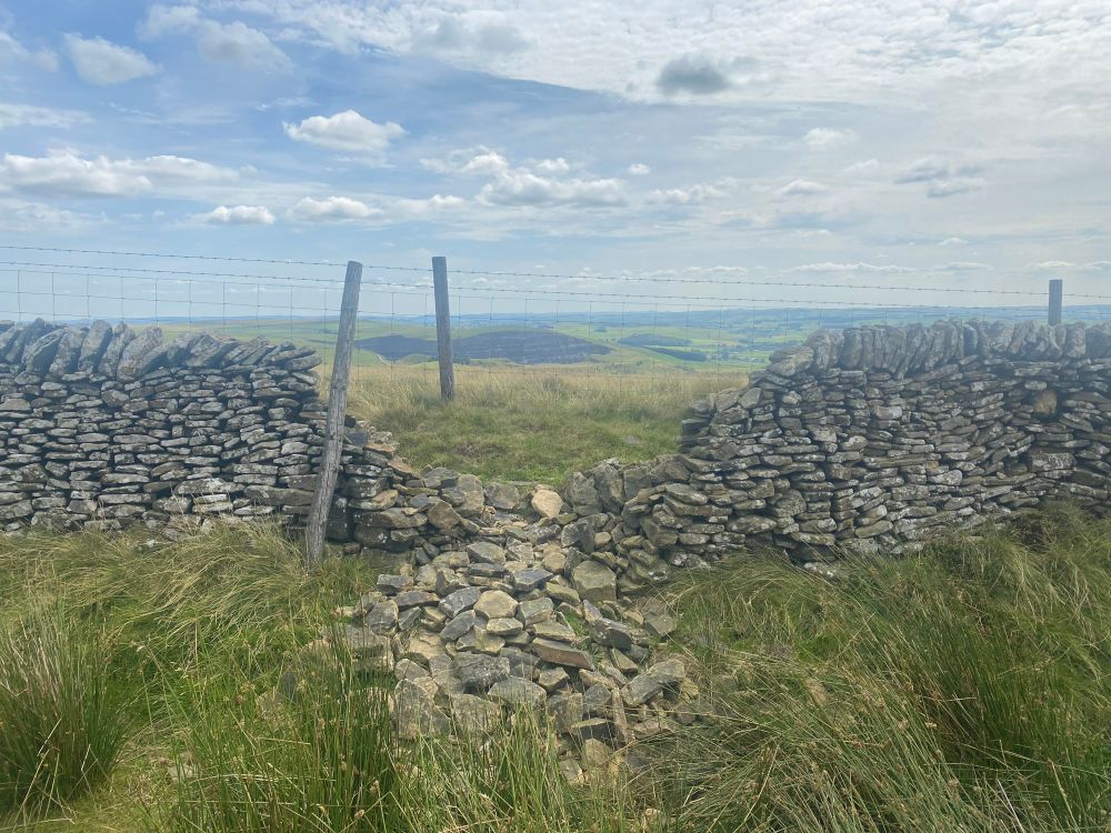 Photo d’un mur de pierres sèches effondré, là où les pierres sont tombées la vie s’ouvre vers une grande plaine.