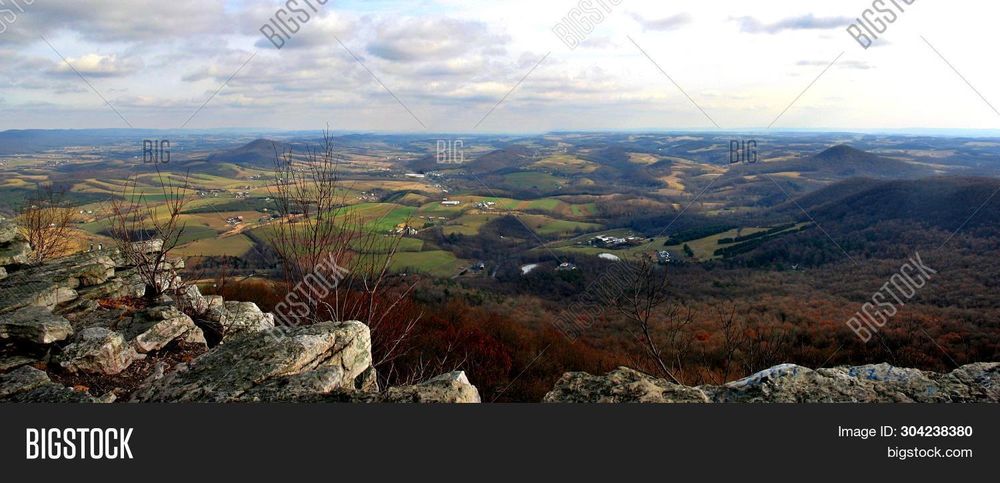 Comment image