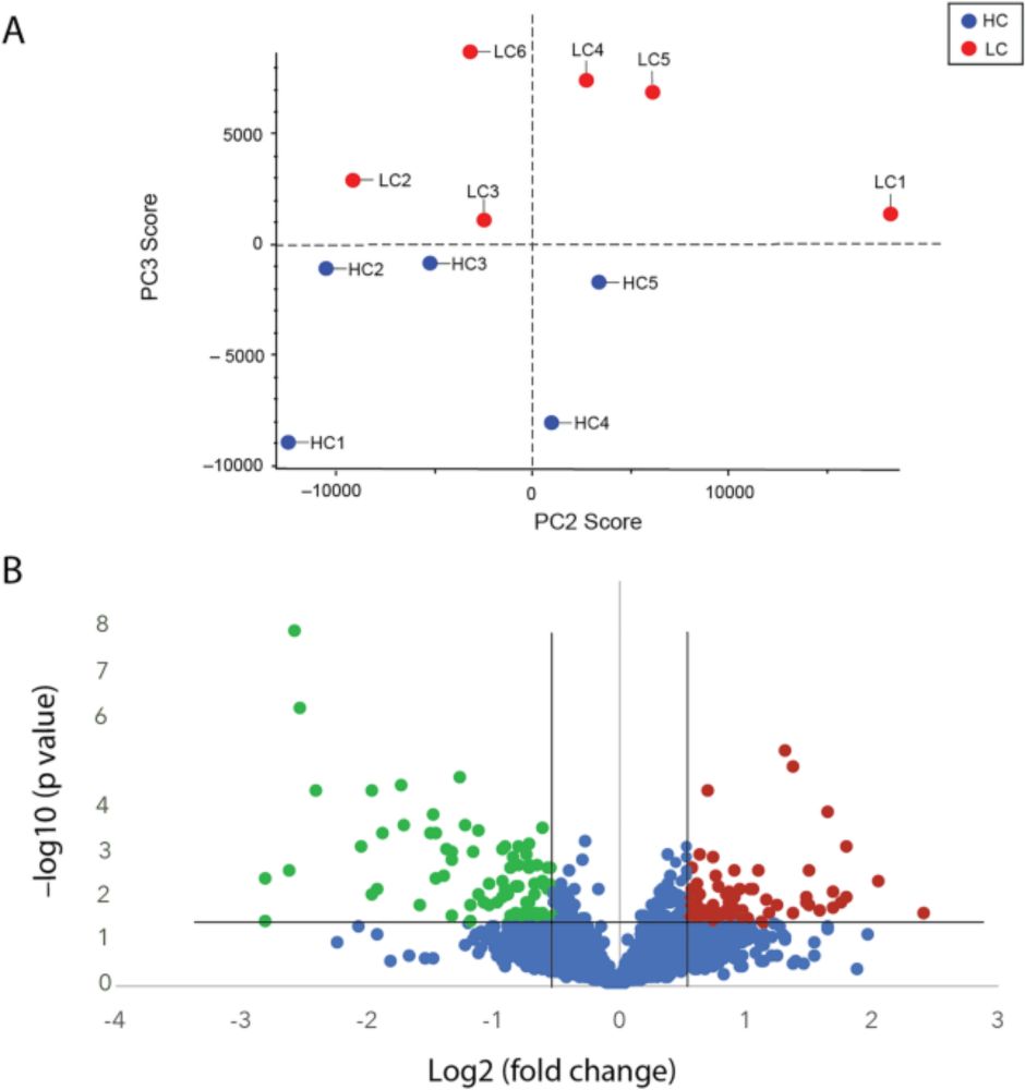 A pilot study on the immune cell proteome of long COVID patients shows changes to physiological path...