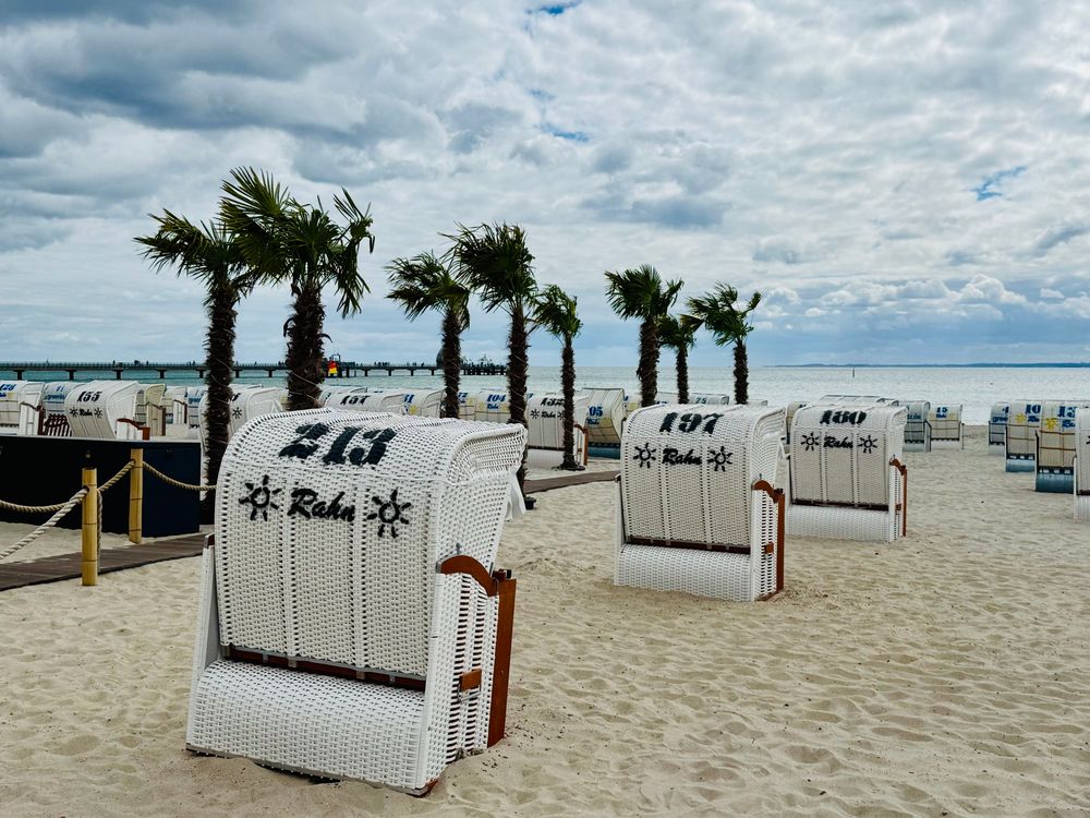 Auf dem Foto ist ein Strand an der Ostsee zu sehen. Der feine, helle Sand ist gesäumt von weißen Strandkörben, die nummeriert und ordentlich in Reihen angeordnet sind. Dazwischen stehen Palmen, die dem Ort ein fast tropisches Flair verleihen. Im Hintergrund liegt das ruhige Meer unter einem Himmel mit vielen Wolken, durch die stellenweise etwas Blau hindurchschimmert – eine Mischung aus Ostsee-Idylle und Urlaubsatmosphäre.