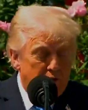 Donald trump with his orange Oompa Loompa face