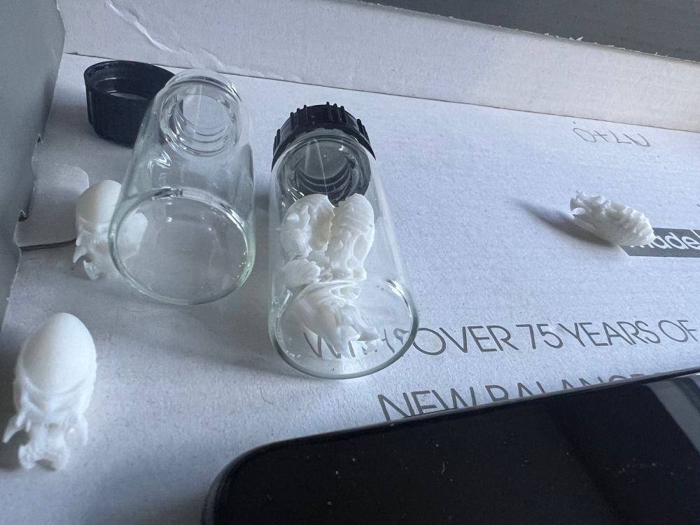 Vortex larvae   
