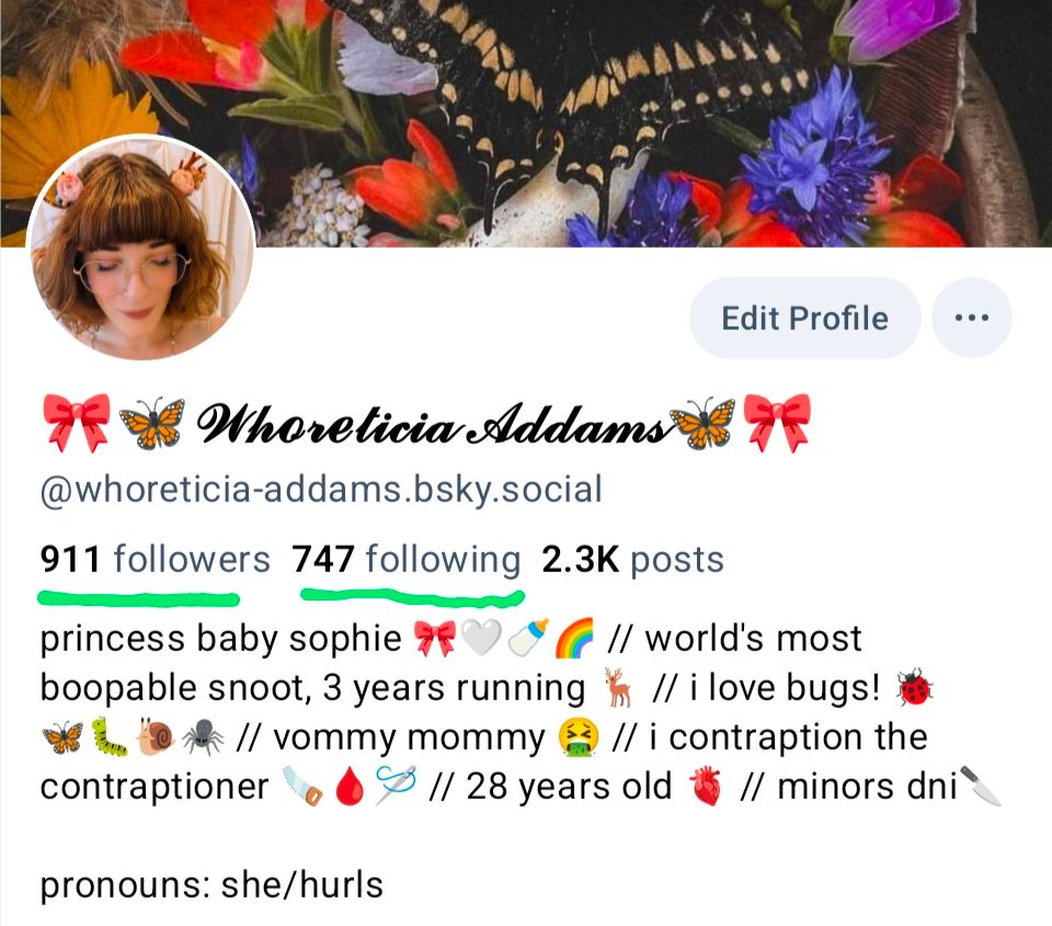 a screenshot of my profile, with 911 folowwers and 747 following