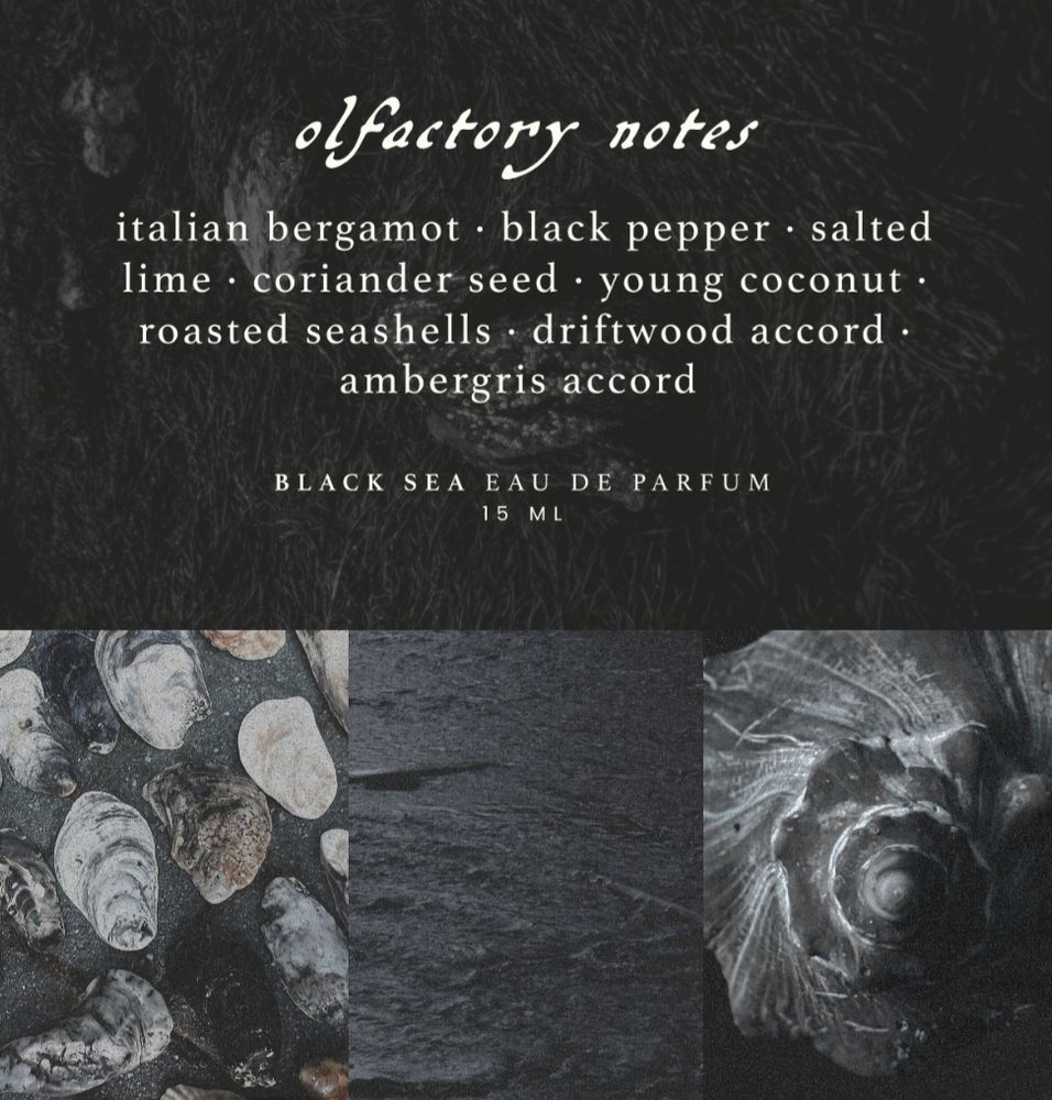 Olfactory notes for Black Sea: Italian bergamot, black pepper, salted lime, coriander seed, young coconut, roasted seashells, driftwood accord, ambergris accord