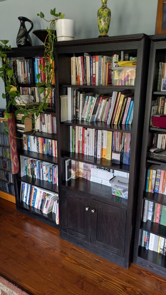Black bookshelf full of books with a vase and place on top