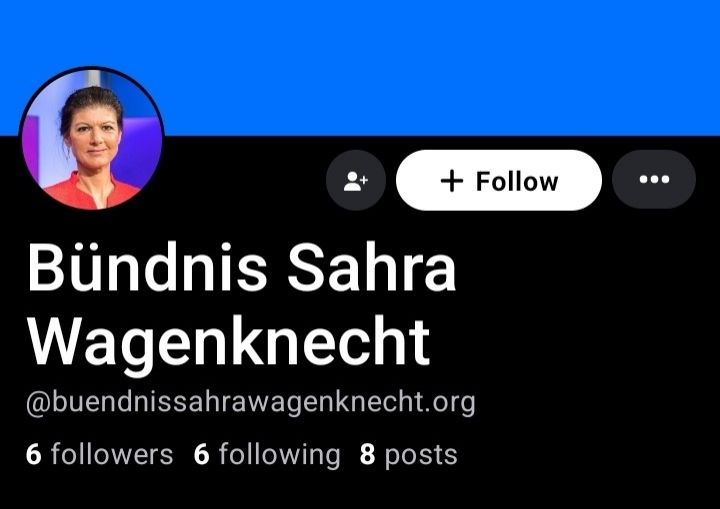 Screenshot Profil BSW.