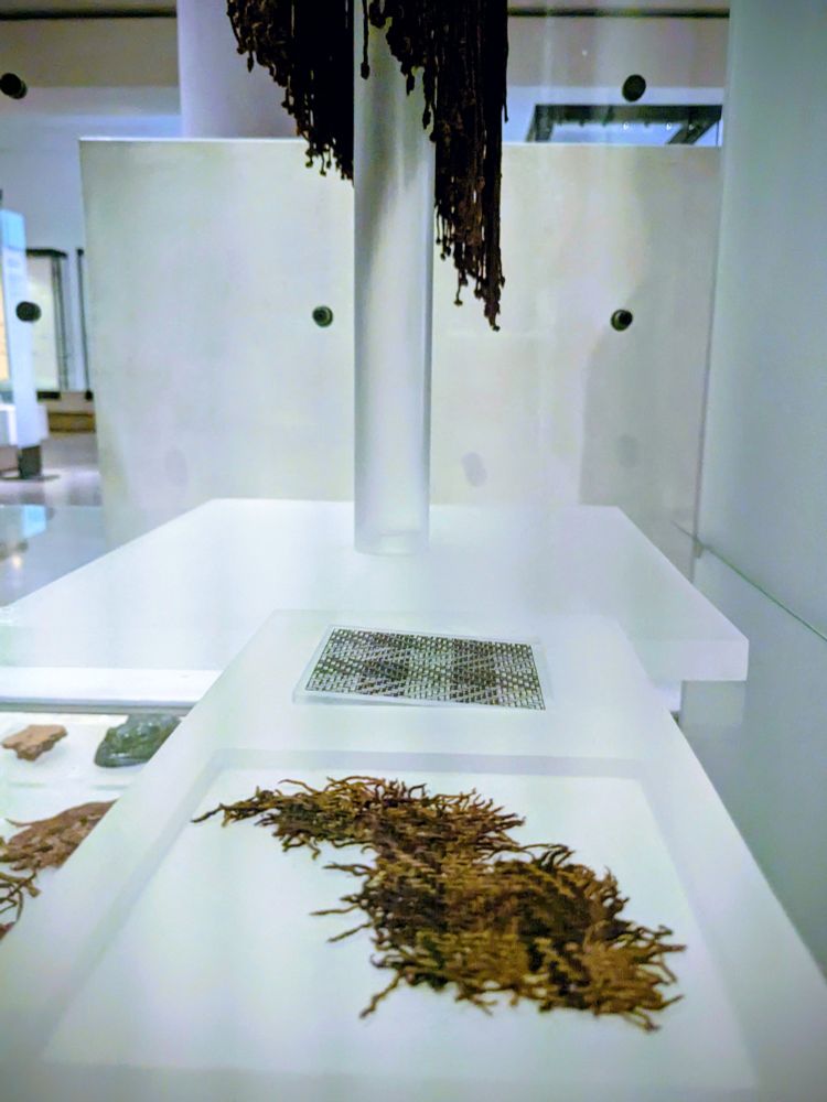 The Falkirk tartan, 3rd century 