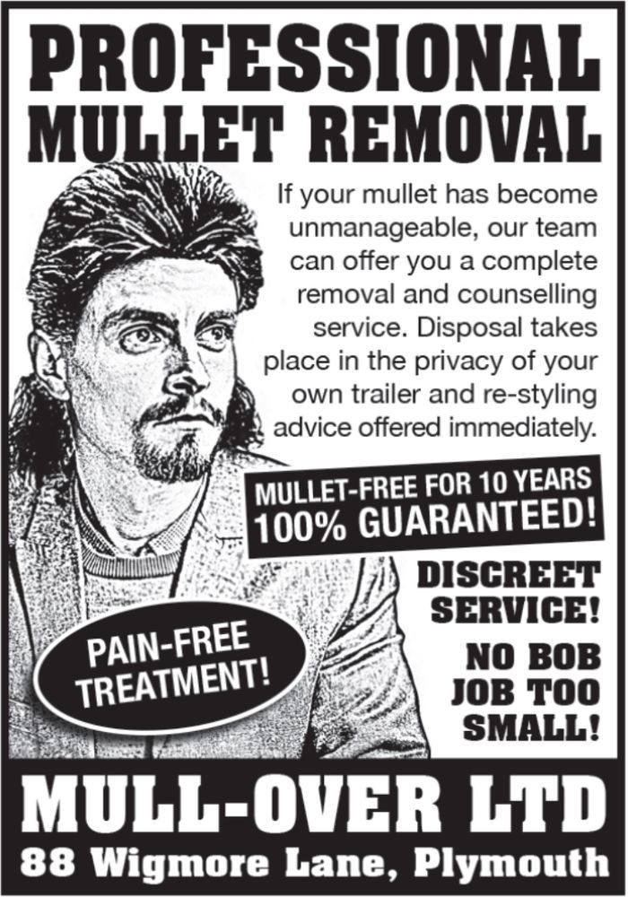 Magazine ad:
Picture of man with a mullet hairstyle and goatee with the text:
PROFESSIONAL MULLET REMOVAL
If your mullet has become unmanageable, our team can offer you a complete removal and counselling service. Disposal takes place in the privacy of your own trailer and re-styling advice offered immediately.
MULLET-FREE FOR 10 YEARS 100% GUARANTEED! DISCREET SERVICE!
NO BOB JOB TOO SMALL! PAIN-FREE
TREATMENT!
MULL-OVER LTD, 88 Wigmore Lane, Plymouth