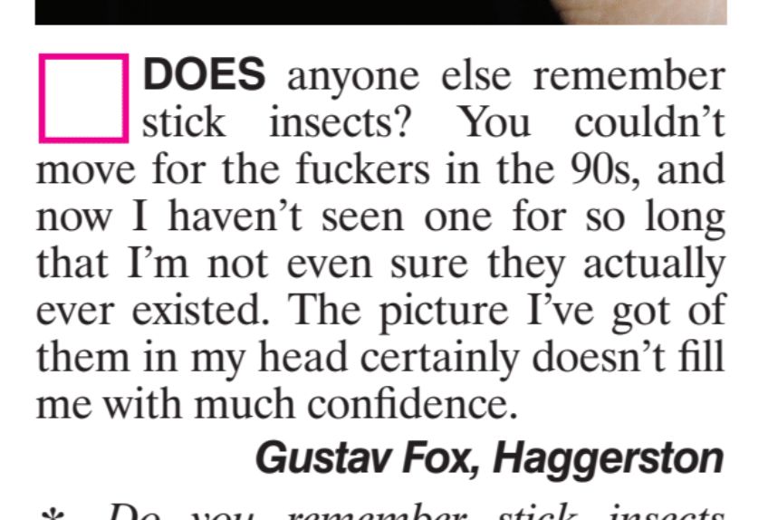 Magazine Letter: Does anyone else remember stick insects? You couldn't move for the fuckers in the 90s, and now I haven't seen one for so long that I'm not even sure they ever existed. The picture I've got of them in my head certainly doesn't fill me with much confidence. Gustav Fox, Haggerston 