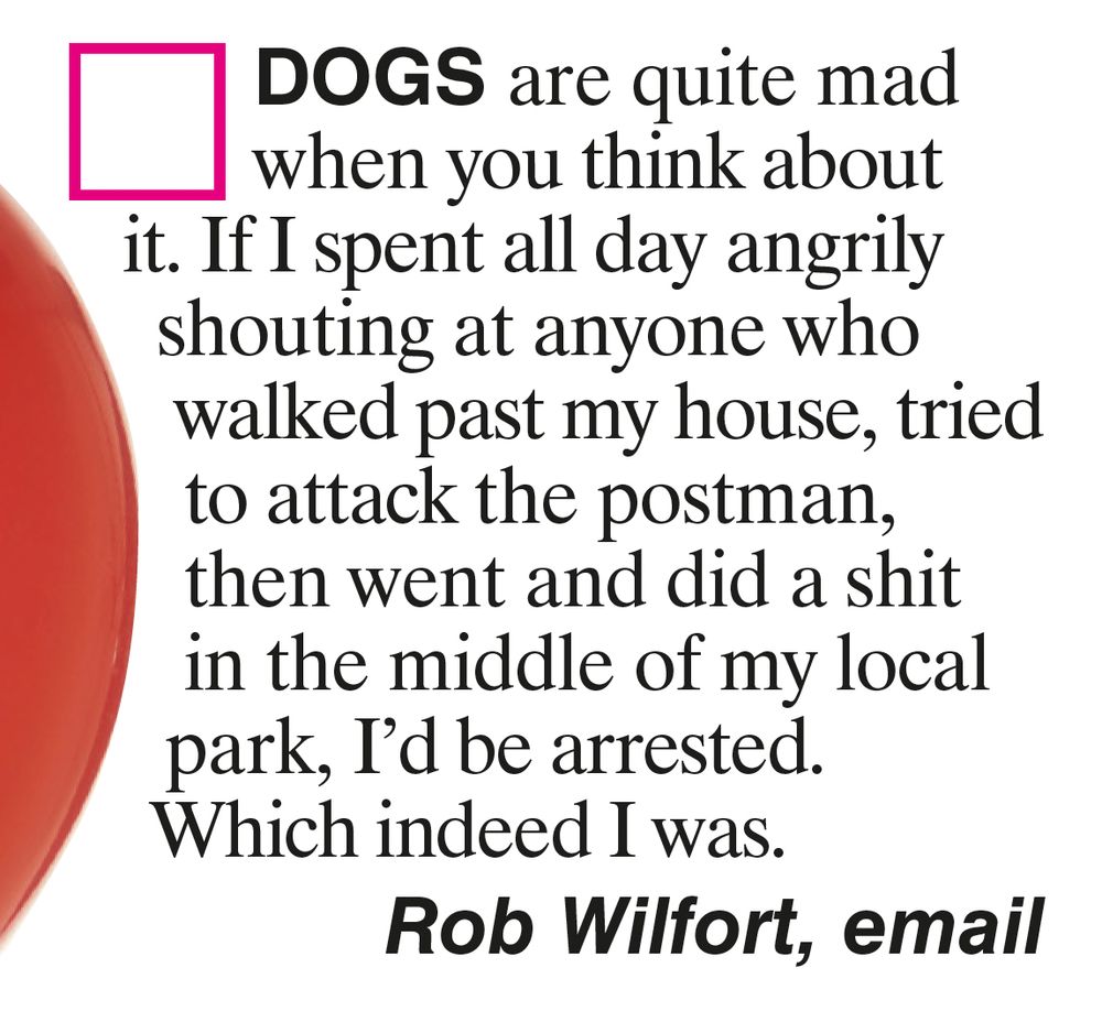 Viz letter reading: "Dogs are quite mad when you think about it. If I spent all day angrily shouting at anyone who walked past my house, tried to attack the postman, then went and did a shit in the midde of my local park, I'd be arrested. Which indeed I was. Rob Wilfort, email."