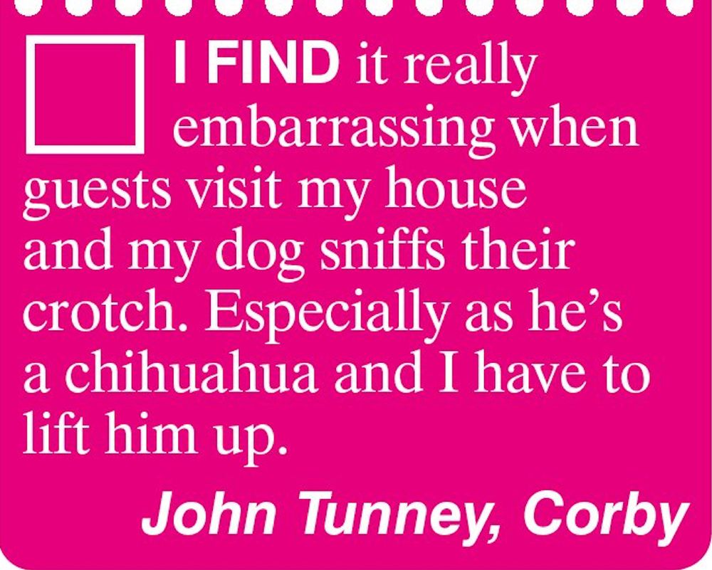I find it really embarrassing when guests visit my house and my dog sniffs their crotch. Especially as he's a chihuahua and I have to lift him up. John Tunney, Corby