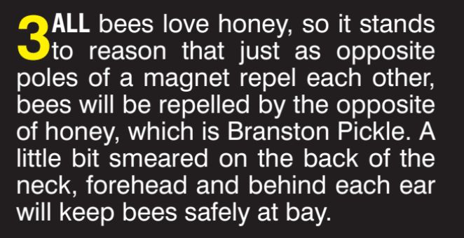 ALL bees love honey, so it stands to reason that just as opposite poles of a magnet repel each other, bees will be repelled by the opposite of honey, which is Branston Pickle. A
little bit smeared on the back of the neck, forehead and behind each ear will keep bees safely at bay.