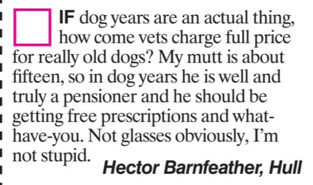 if dog years are an actual thing, how come vets charge full price for really old dogs? My mutt is about fifteen, so in dog years he is well and truly a pensioner and be should be getting free prescriptions and what have-you. Not glasses obviously, I'm not stupid. Hector Barnfeather, Hull