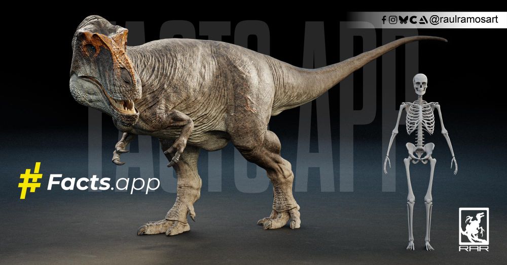 3d sculpted model of daspletosaurus standing next to a human skeleton for scale in a studio setting 