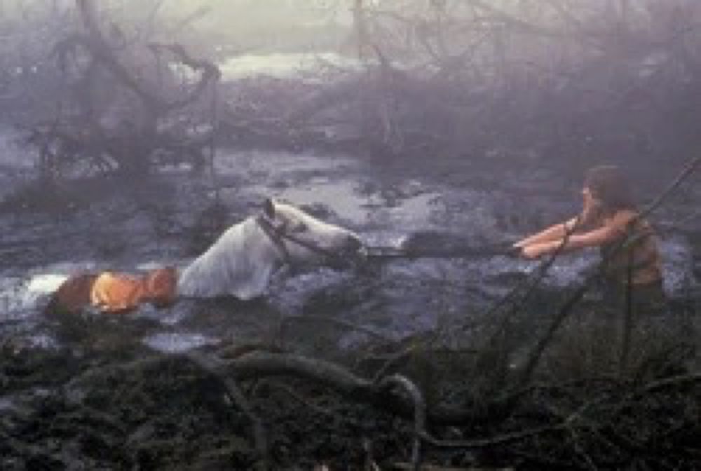 Still from the never ending story of Artax dying in the swamp of sadness￼
