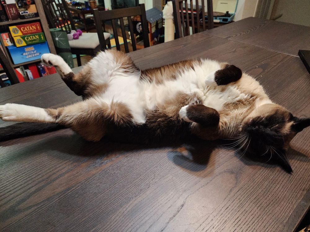 Mikleo showing his belly