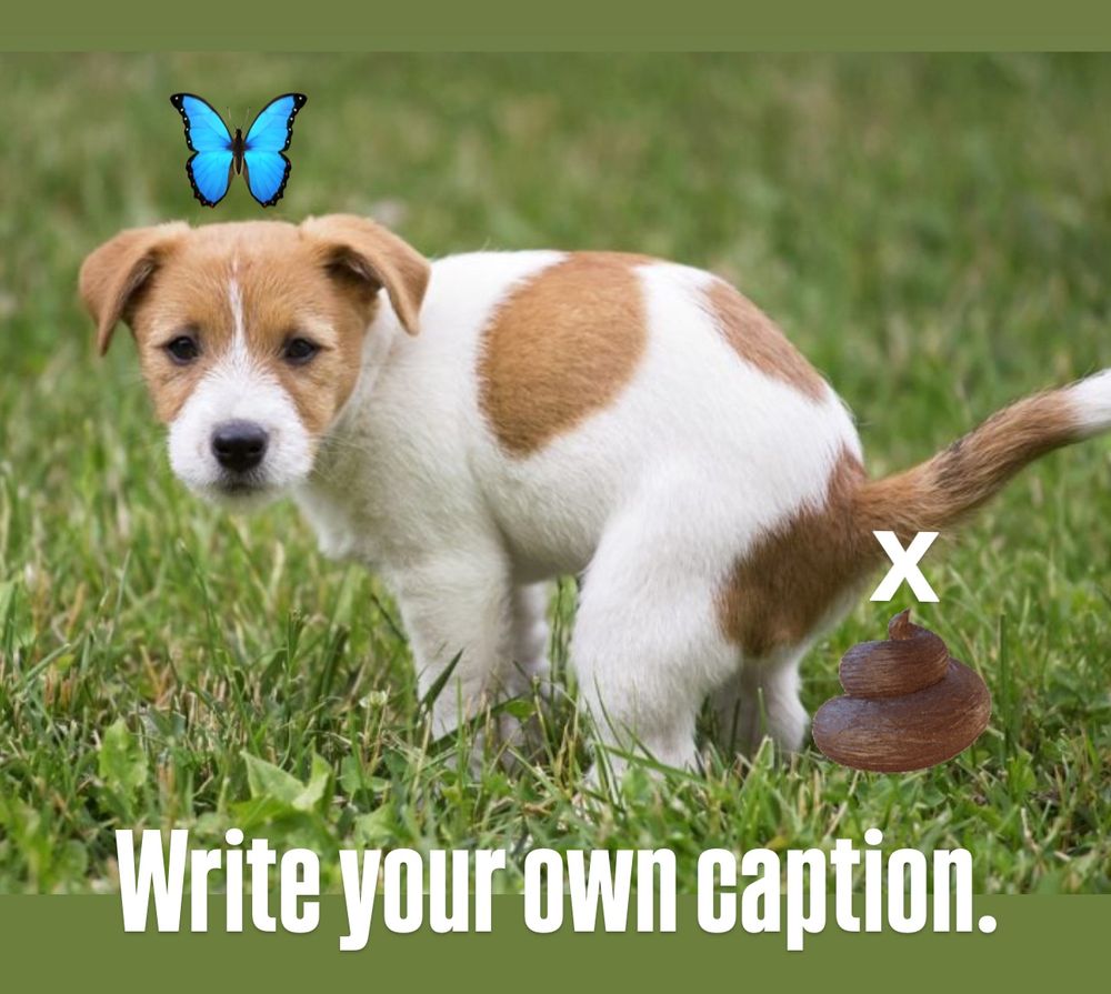 Comment image