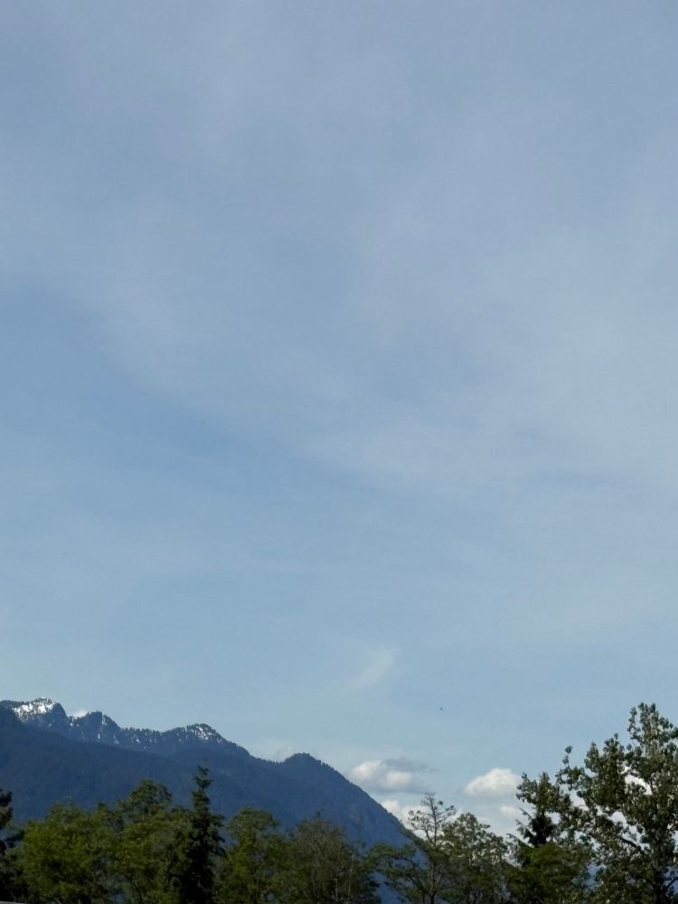 Blue sky in the background mountains on the left and trees in front of the mountains 