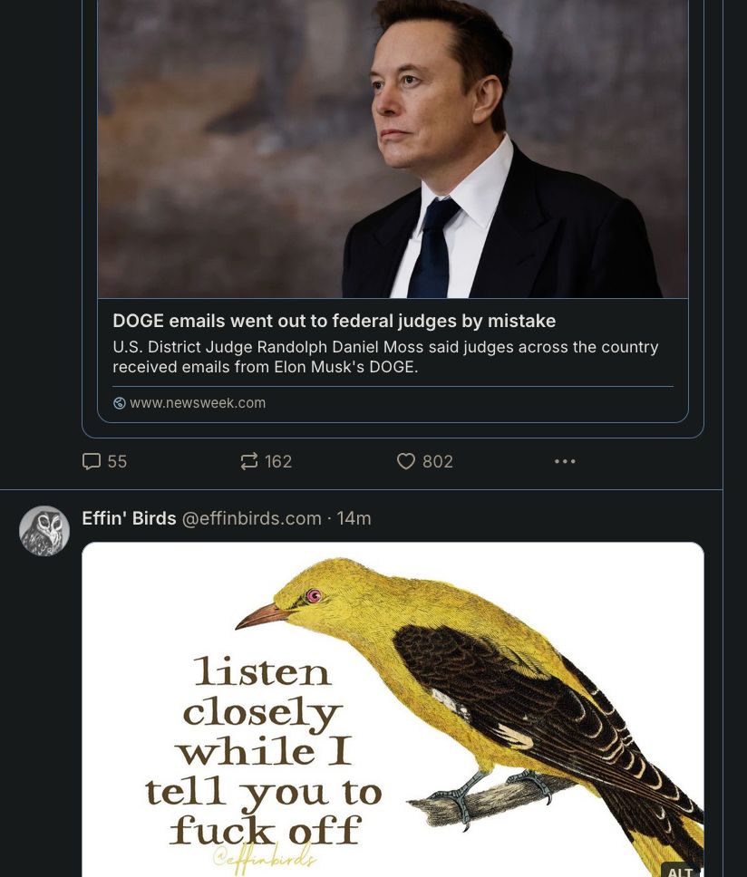 Top image: Elon Musk with a headline about his "Fork in the Road" e-mails going out to permanently appointed judges. Bottom image is from Effin' Birds, saying Listen Closely While I Tell You To Fuck Off.