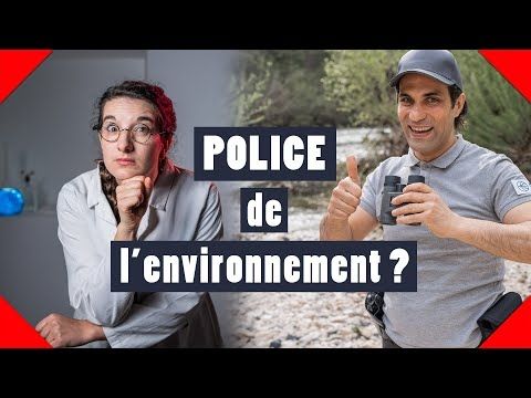L'OFB - AMI DES LOBBIES #28