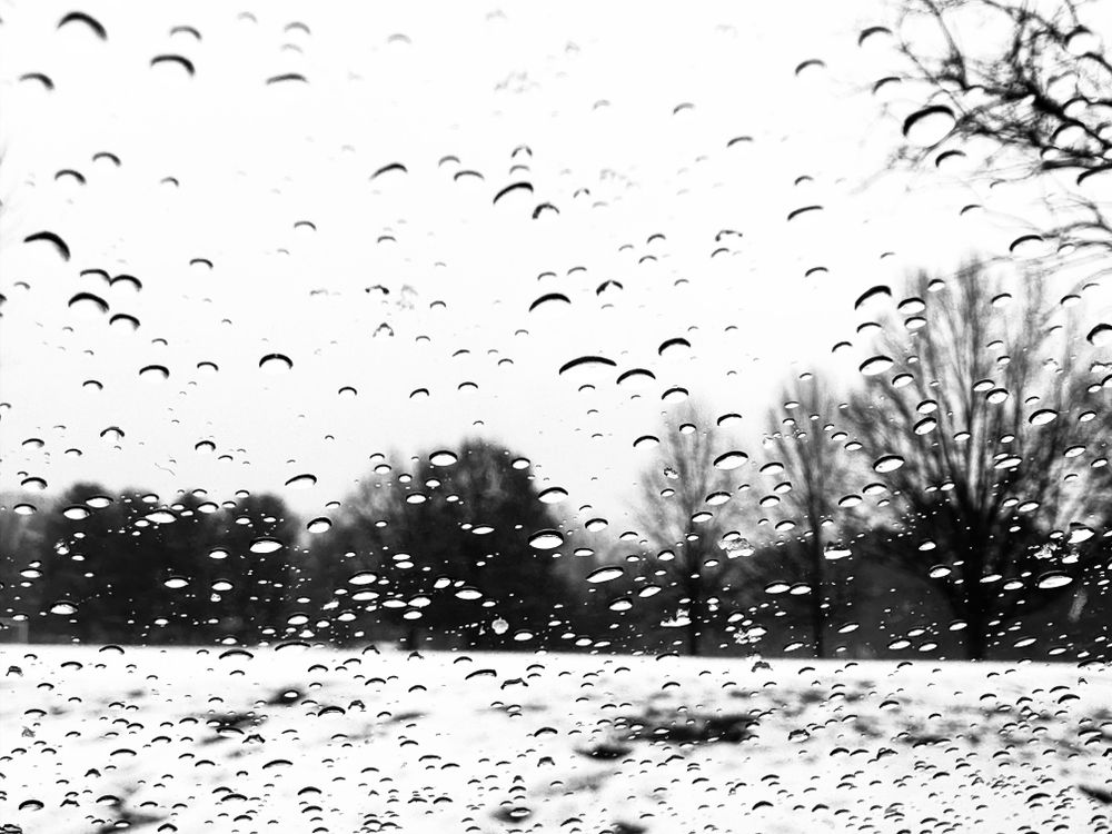 Water beads on a window. Winter trees in the background.