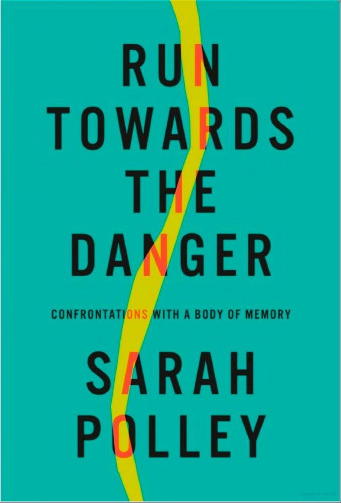 Cover of Run Towards the Danger by Sarah Polley