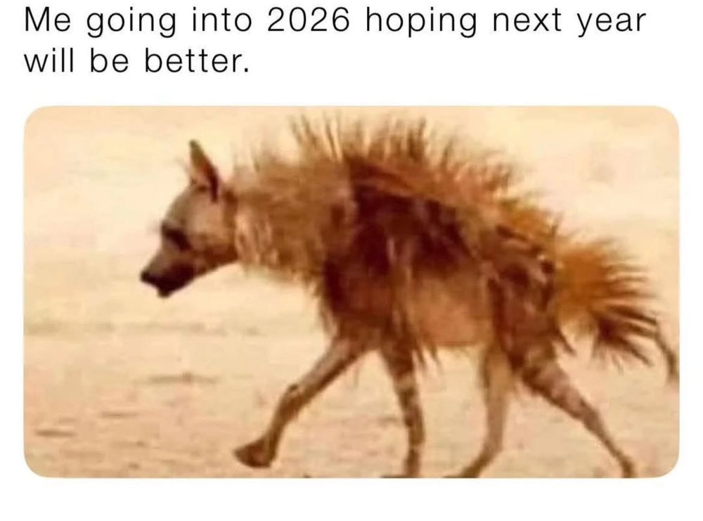 Deutsch:
Das Bild zeigt ein Meme. Oben steht der Text: „Me going into 2026 hoping next year will be better.“
Darunter sieht man ein Foto eines sehr zerzausten, erschöpft wirkenden Tieres (einer Hyäne), das langsam über einen sandigen Boden läuft. Das Bild soll humorvoll ausdrücken, wie man sich am Ende eines anstrengenden Jahres fühlt, während man trotzdem hofft, dass das nächste Jahr besser wird.

English:
The image is a meme. At the top, the text reads: “Me going into 2026 hoping next year will be better.”
Below, there is a photo of a very scruffy, exhausted-looking animal (a hyena) walking slowly across a sandy ground. The image humorously conveys how one might feel at the end of a tough year while still hoping the next one will be better.